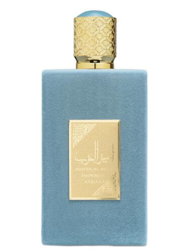AMEER AL ARAB